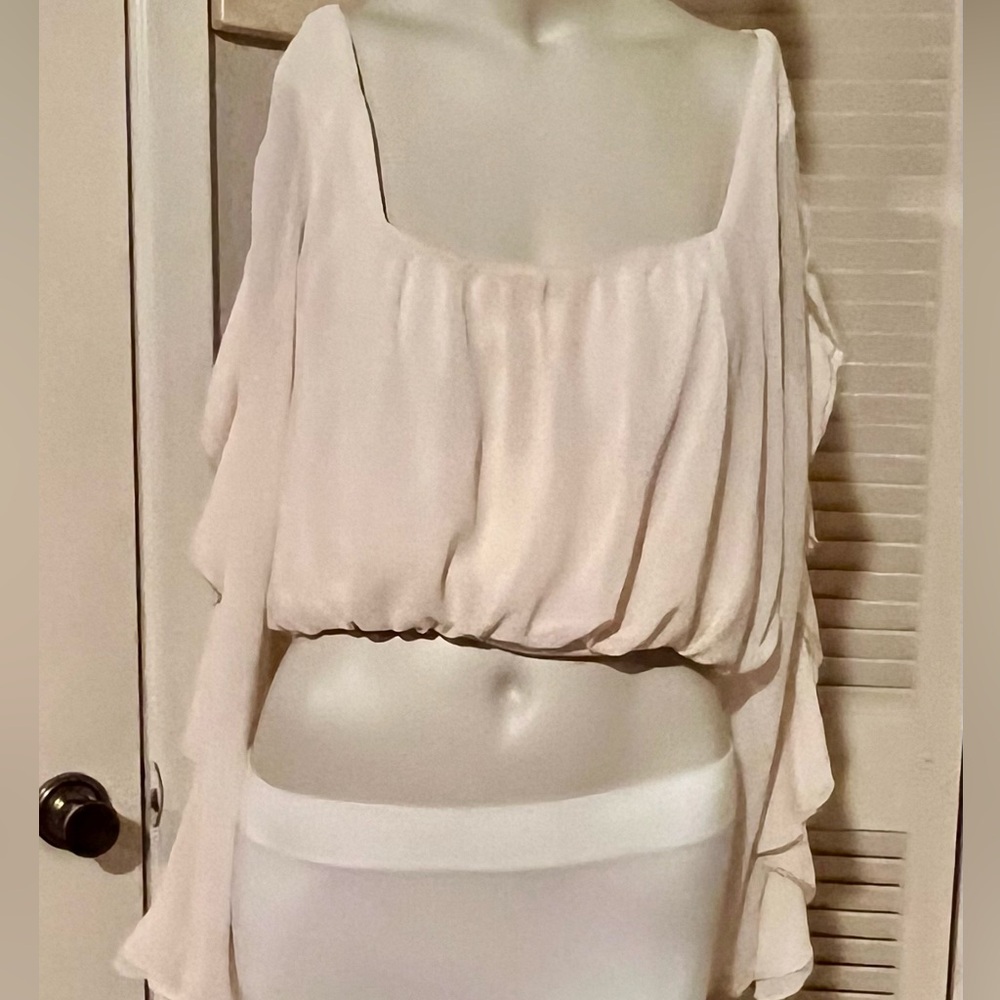 New Evolutionary blouses